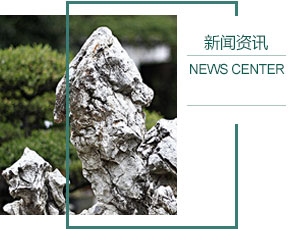 新登镇